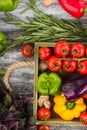 Set of different fresh raw colored vegetables in the wooden tray Royalty Free Stock Photo