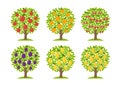 Set of different fruit trees. Lemon and orange apple cherry pear plum. Orchard garden harvest. Vector Illustration