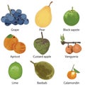 9 different fruits on a white background