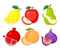 Set of different fruits. Lemon, apple, pear, pomegranate, peach,