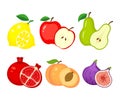 Set of different fruits. Lemon, apple, pear, pomegranate, peach, figs vector illustration isolated on white background Royalty Free Stock Photo