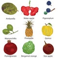 Set of different fruits Royalty Free Stock Photo