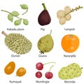 Set of different fruits