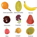 Set of different fruits Royalty Free Stock Photo