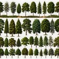 Set of different full realistic trees. Vector illustration, isolated on white background. Each tree must be spaced equally apart