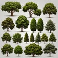 Set of different full realistic trees. Vector illustration, isolated on white background. Each tree must be spaced equally apart