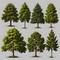 Set of different full realistic trees. Vector illustration, isolated on white background. Each tree must be spaced equally apart