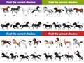A set of 4 different games for toddlers. Find the correct horse shadow. Vector illustration. Royalty Free Stock Photo
