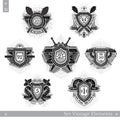 Set of different geometric shields with light ray and crossed vintage weapons Royalty Free Stock Photo