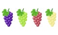 Set of different grapes isolated on white background. Bunch of purple, green, red, white grapes with stem and leaf. Cartoon style Royalty Free Stock Photo