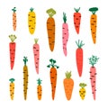 Set of different hand drawn carrots. Cartoon vegetables. Healthy food