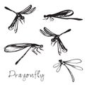 Set of different hand drawn dragonflies