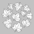 Set of different hand drawn ivy leaves with black contour and white fill. Vector illustration