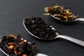 Set of different herbal and fruit tea. Assorted dried tea leaves, Dark moody. The concept of tea Royalty Free Stock Photo