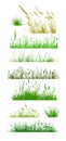 Set of grass lines. Herbal horizontal background. Vector Illustration.