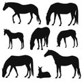 Set of different horses silhouettes.