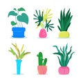 Set of different house plants with green leaves in pots. Royalty Free Stock Photo