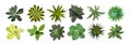 Set of different house plants top view. Vector illustrations isolated. Royalty Free Stock Photo