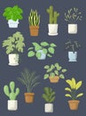 Set of different indoor plants, guide of best air-cleaning indoor plants. Hand drawn of plants that filter pollutants from the air