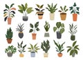 Set of different indoor potted house plants vector