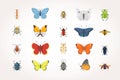 Set of different insects in cartoon style. Butterfly and beetle collection.