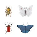 Set of different insects in cartoon style. Butterfly and beetle collection.