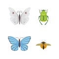 Set of different insects in cartoon style. Butterfly and beetle collection.