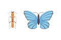 Set of different insects in cartoon style. Butterfly and beetle collection.