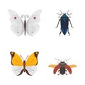 Set of different insects in cartoon style. Butterfly and beetle collection.