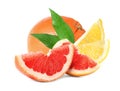Set of different juicy citrus fruits