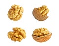 Set of different kernel walnuts isolated on white background