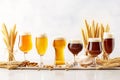 Set with different kind of beer in glasses on white table with wheat ears Royalty Free Stock Photo