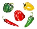 Set Of Different Kind Of Peppers Realistic Acrylic Painting Isolated On White Background