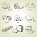 Set of different kinds of graphic cheese.