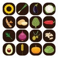 Set of different kinds of vegetables.