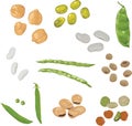 Set of different legumes