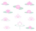 A set of different lotuses Royalty Free Stock Photo