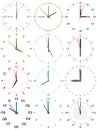 A set of different mechanical clocks with an image of each of the twelve hours