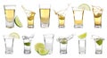 Set of different Mexican Tequila shots on background