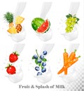 Set of different milk splashes with fruit,