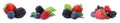 Set of different mixed berries on background, banner design Royalty Free Stock Photo