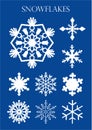 Set of different models of snowflakes on blue background