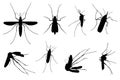 Set of different mosquitoes Royalty Free Stock Photo