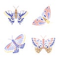 Set of different multicolored butterflies. Collection of fantasy colorful vector butterflies for design