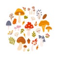 Set of different mushrooms with berries and leaves of trees in circle. Vector flat illustration in hand drawn style on white Royalty Free Stock Photo