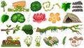 Set of different nature objects