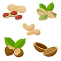 A set of different nuts. Cashews, peanuts, pistachios, hazelnuts, walnuts in shells. Healthy food, an ingredient. Flat Royalty Free Stock Photo
