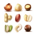 Set of different nuts