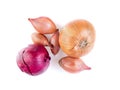 Set of different onions - shallots, red onion on white background, bulbs, top view Royalty Free Stock Photo