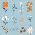 Set of different orange and white flowers, a set of stylized cute flowers on a turquoise background. Vector